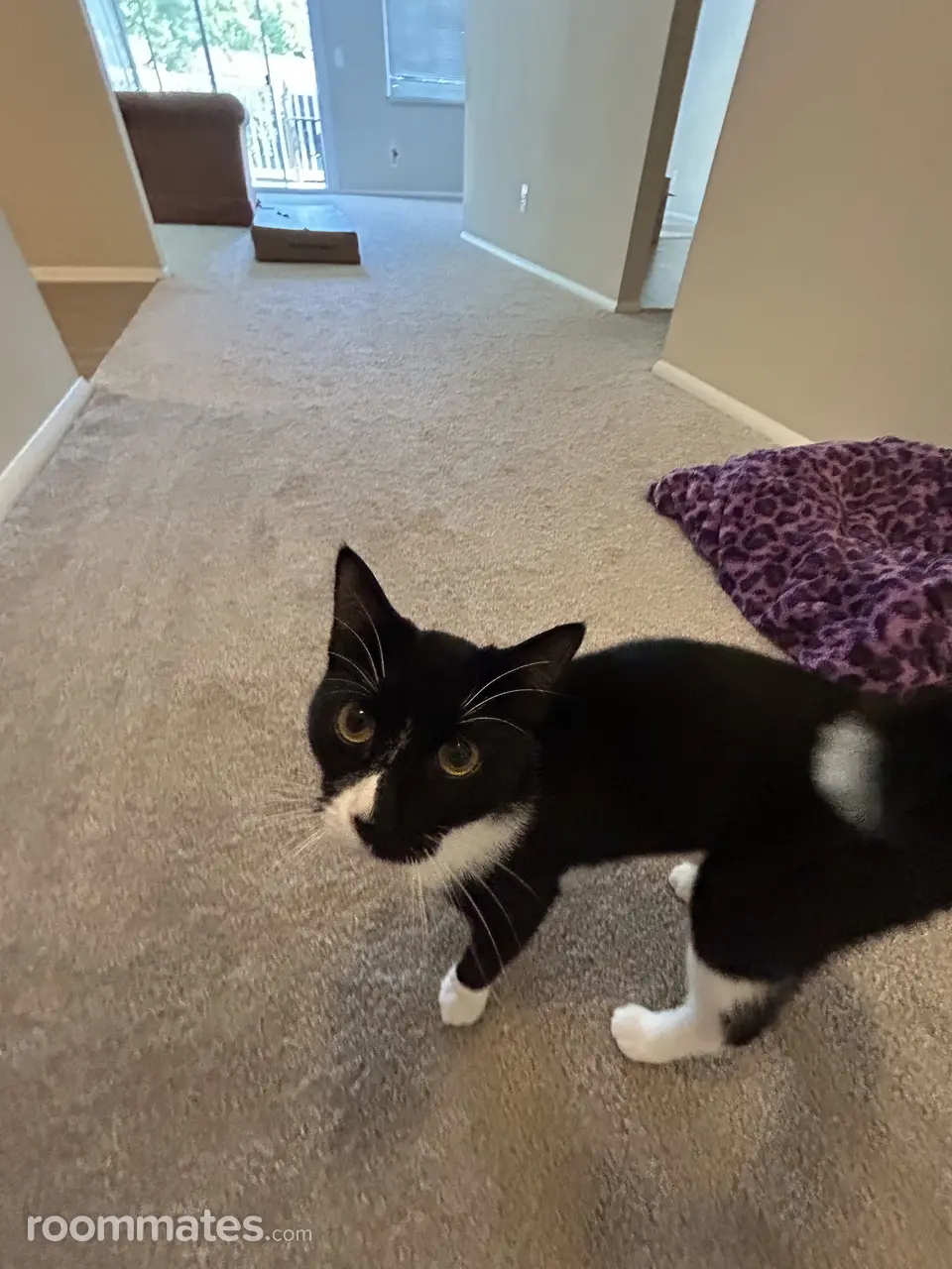 Profile photo 8 of 11