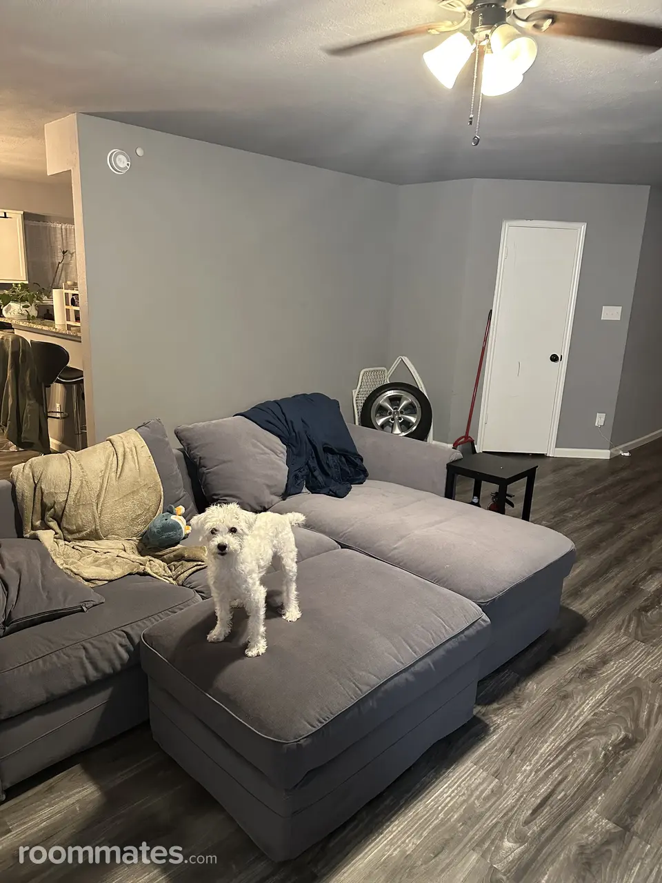 Profile photo 2 of 11