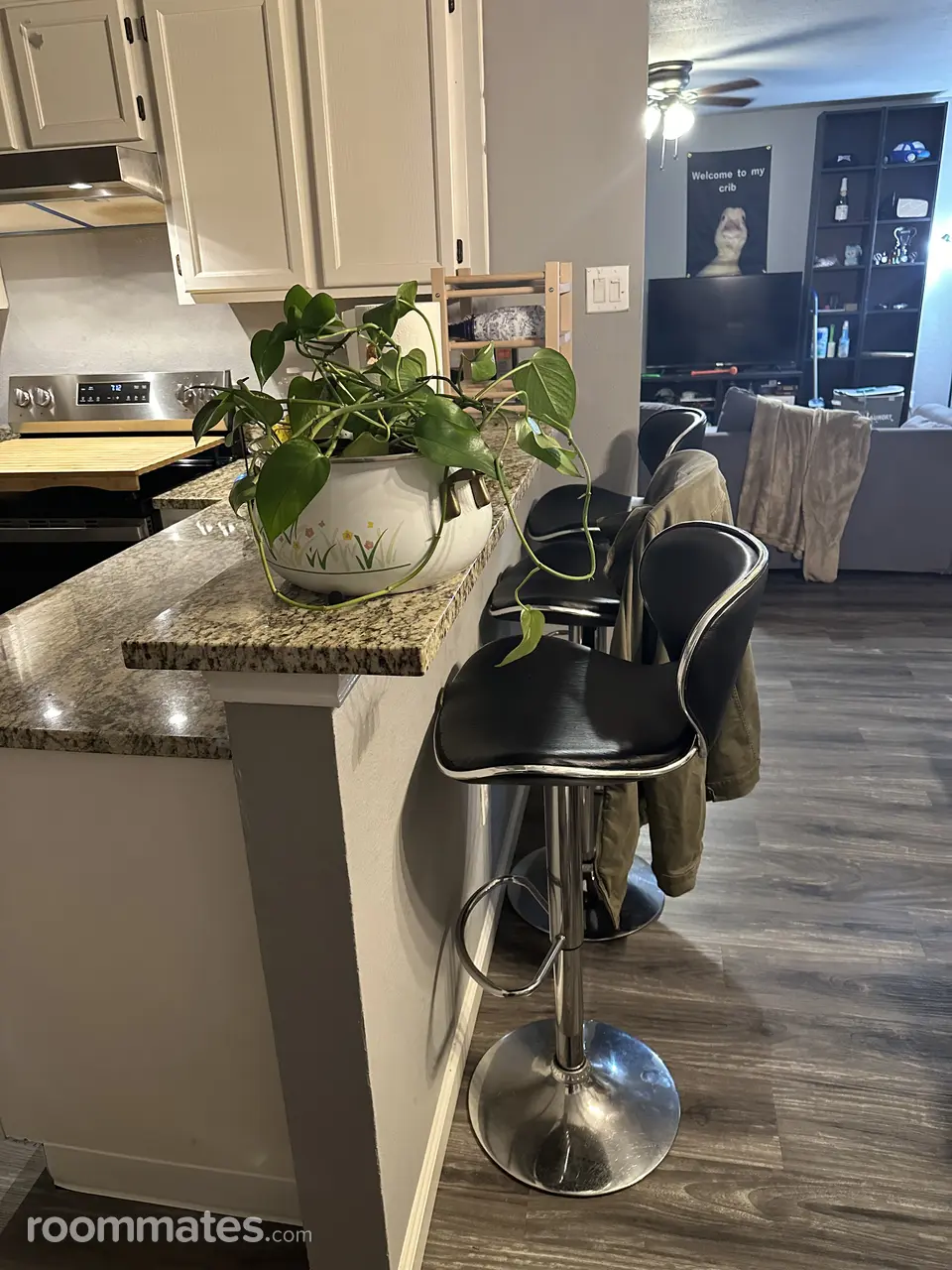 Profile photo 11 of 11