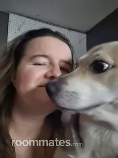 Roommate looking Memphis, TN, $500