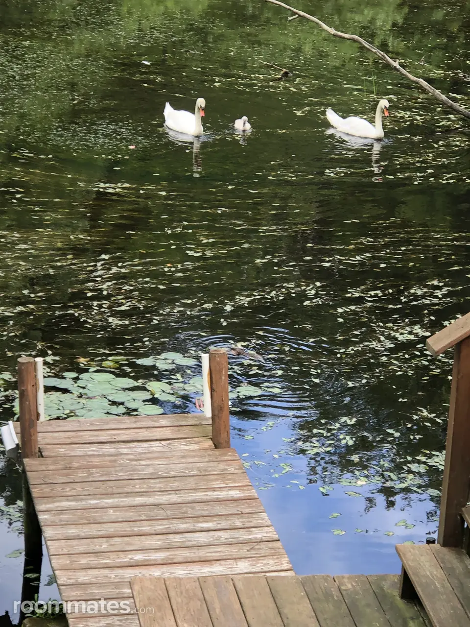 Profile photo 5 of 18