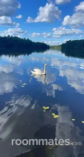 Room for rent in Burrillville, RI $975, house