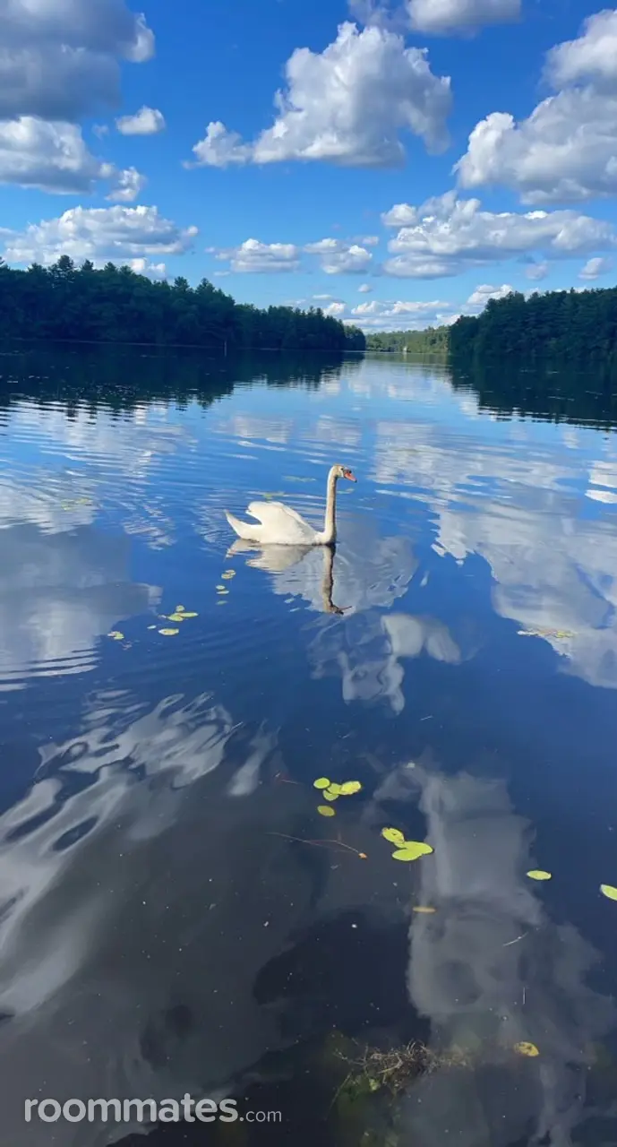 Profile photo 7 of 18