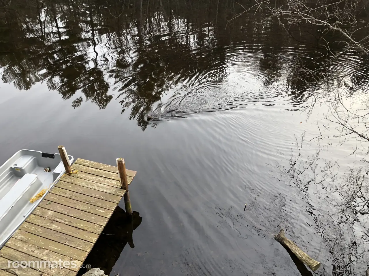 Profile photo 12 of 18