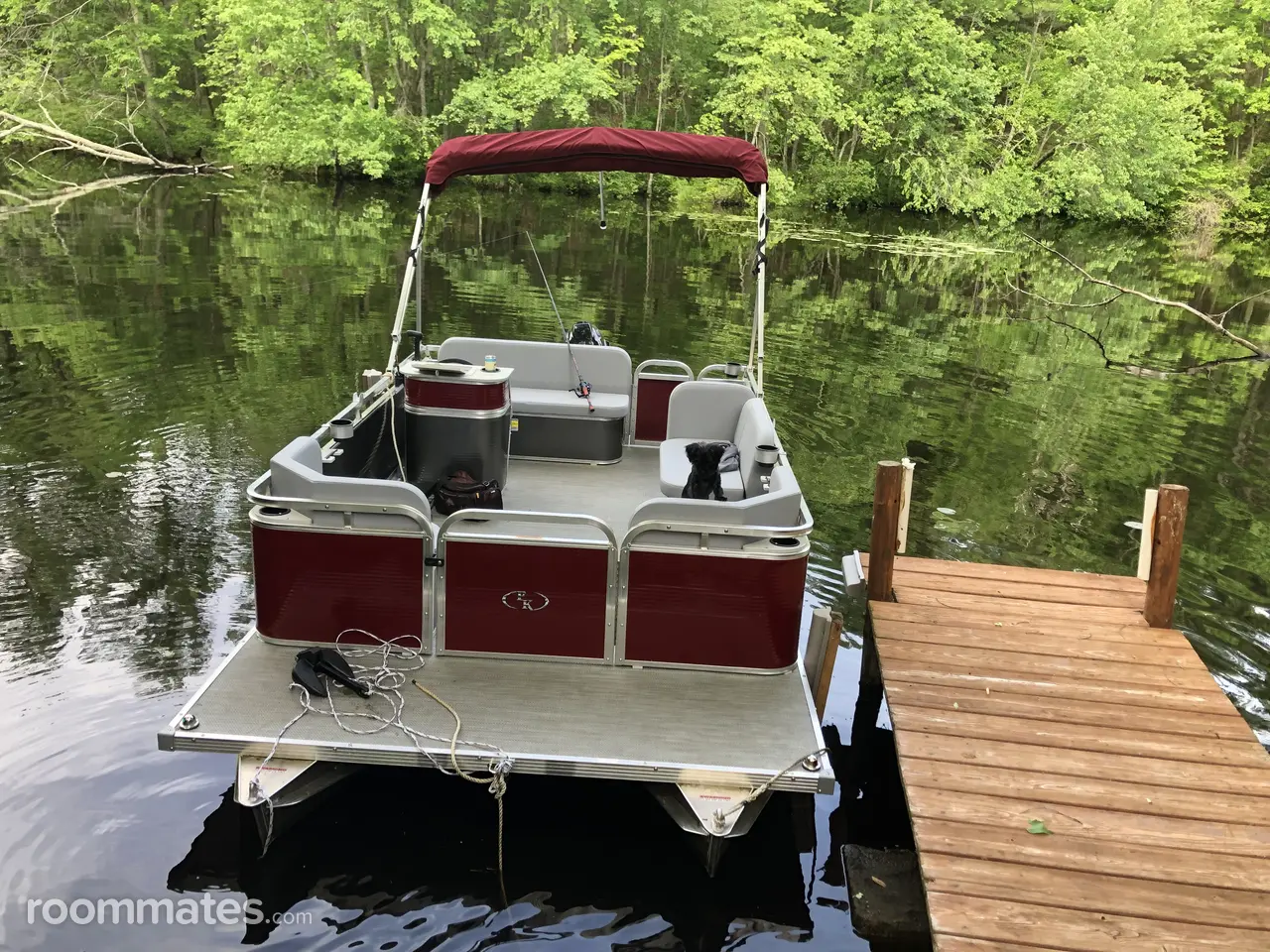 Profile photo 11 of 18