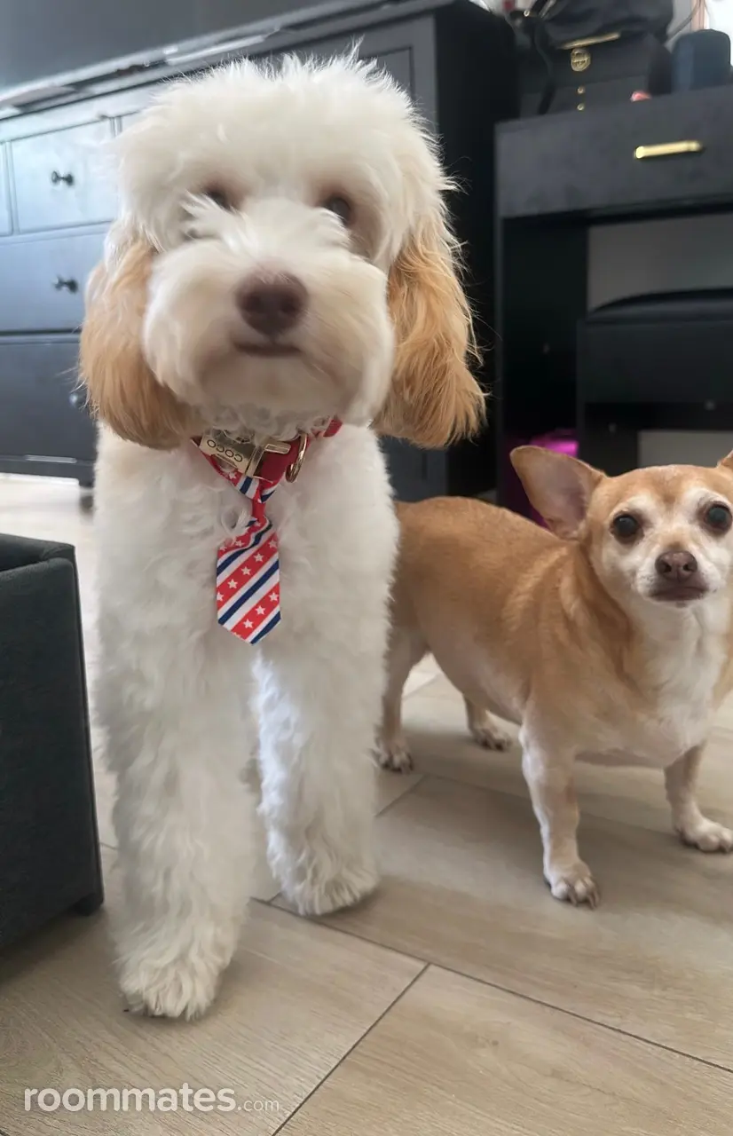 Profile photo 3 of 5