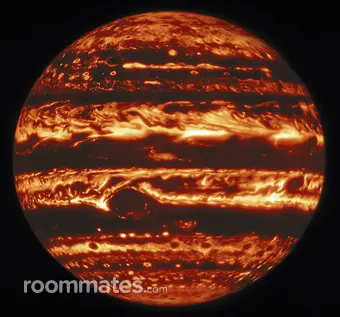 Roommate looking Pittsburgh, PA, $1000