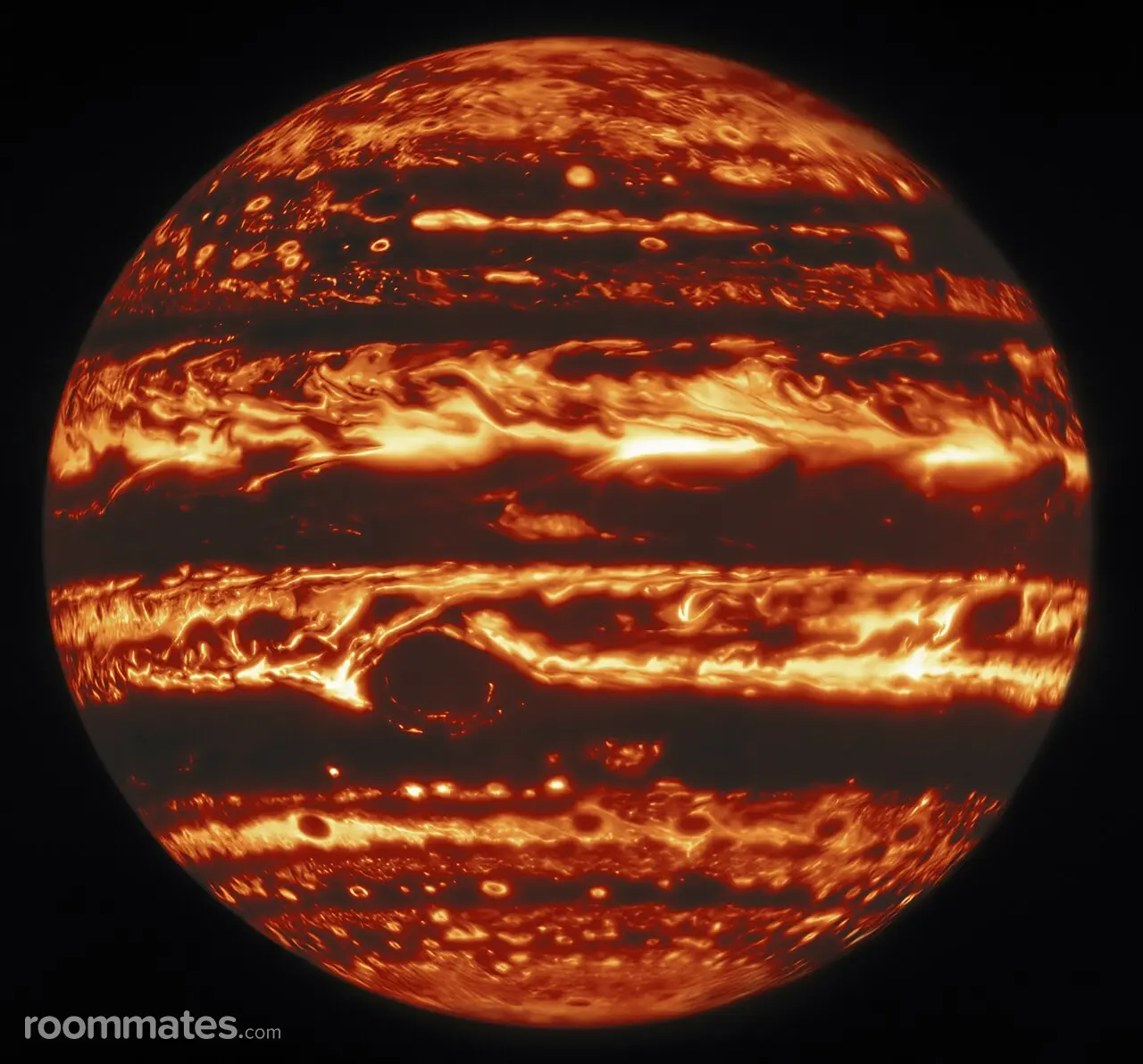 Profile photo 1 of 1