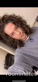 Roommate looking Portland, OR, $1000