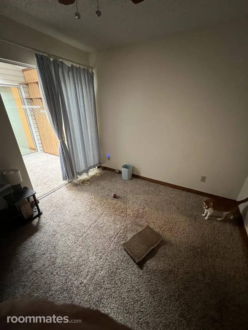 Profile photo 2 of 11