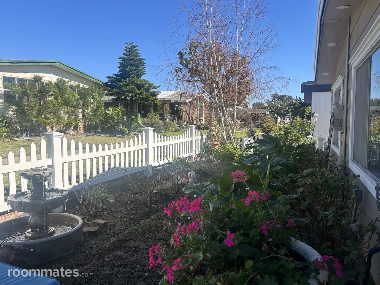 Profile photo 17 of 18