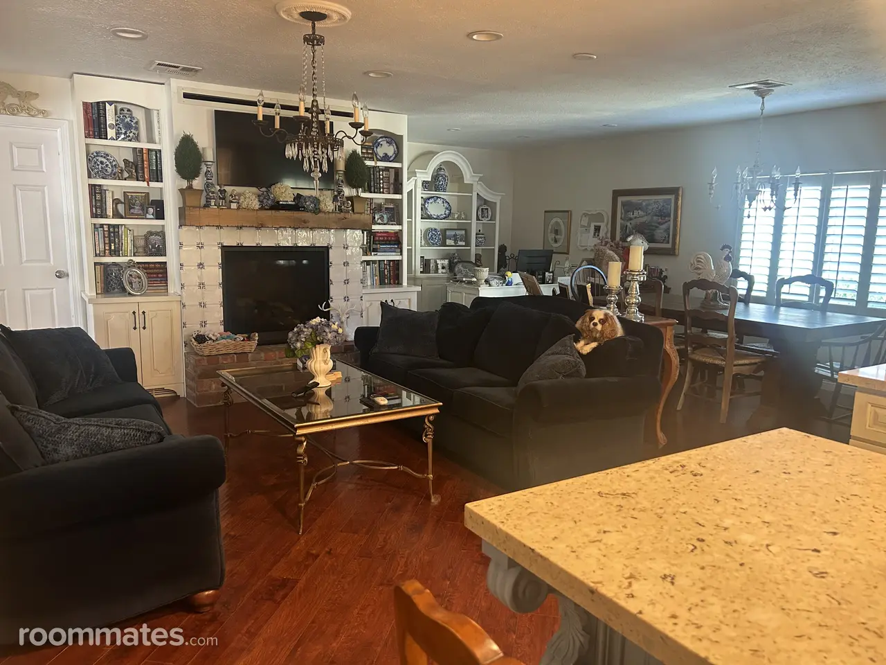 Profile photo 9 of 18