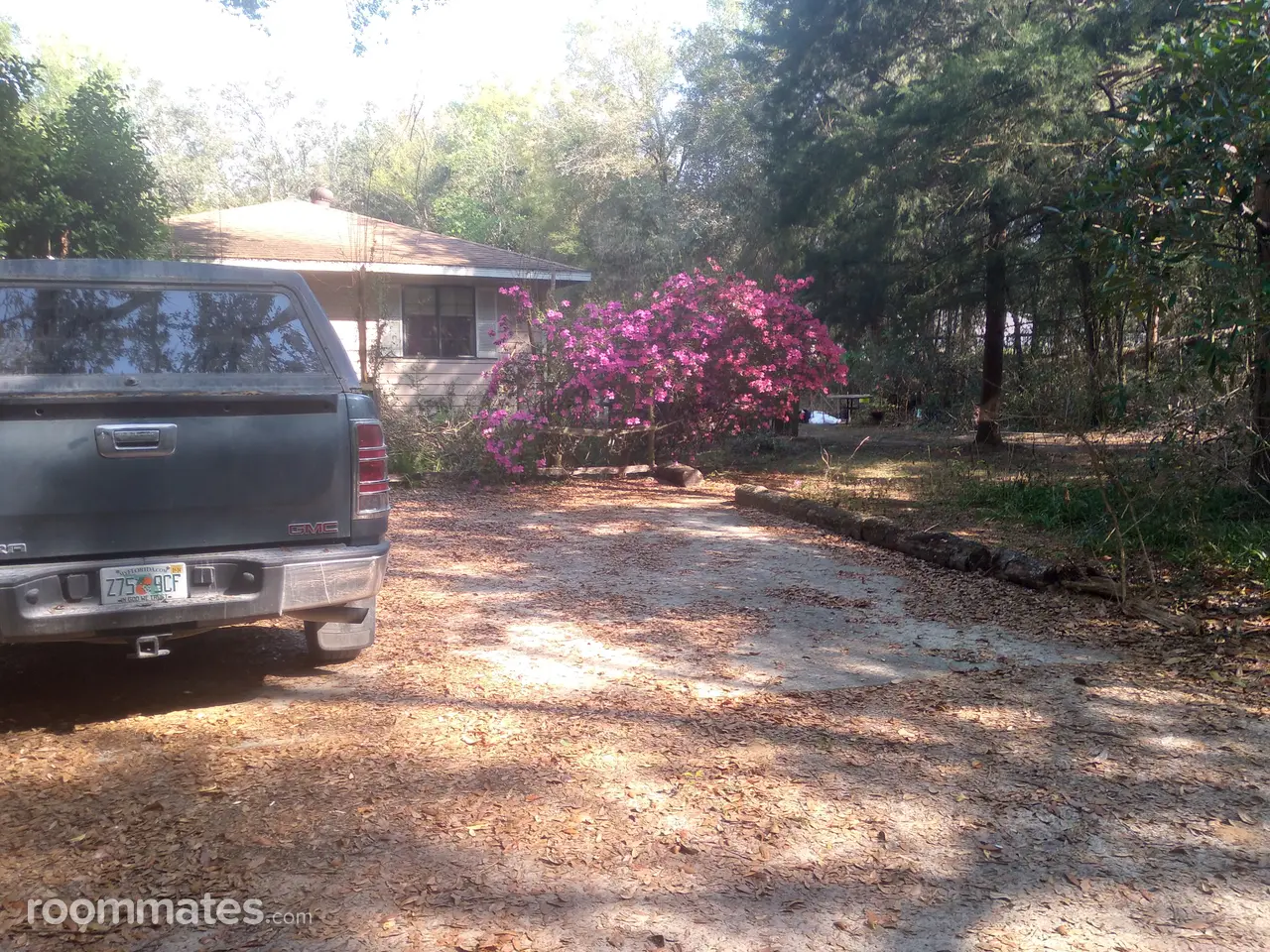 Profile photo 1 of 5