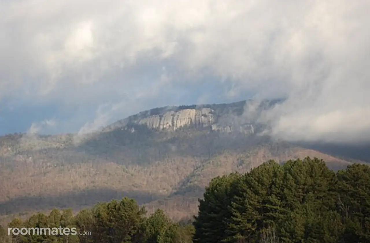 Profile photo 1 of 1