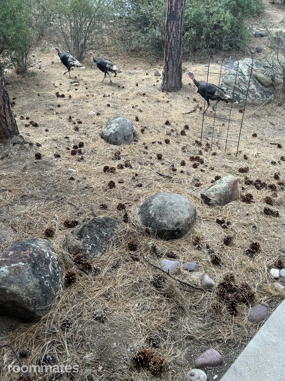 Profile photo 10 of 12