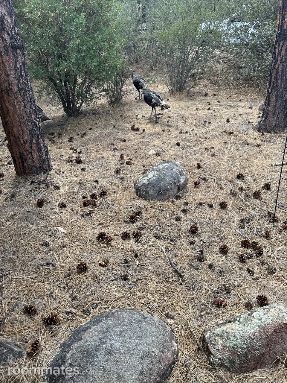 Profile photo 9 of 12