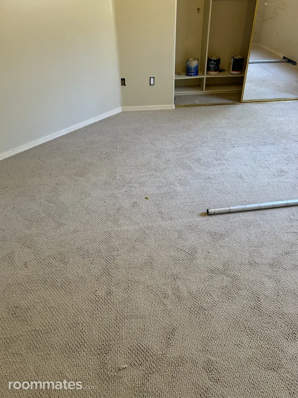 Profile photo 2 of 12