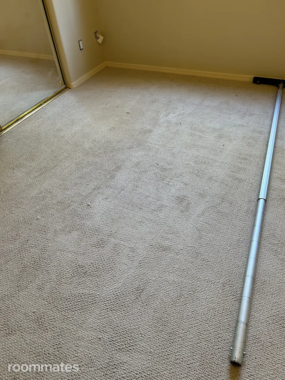 Profile photo 1 of 12