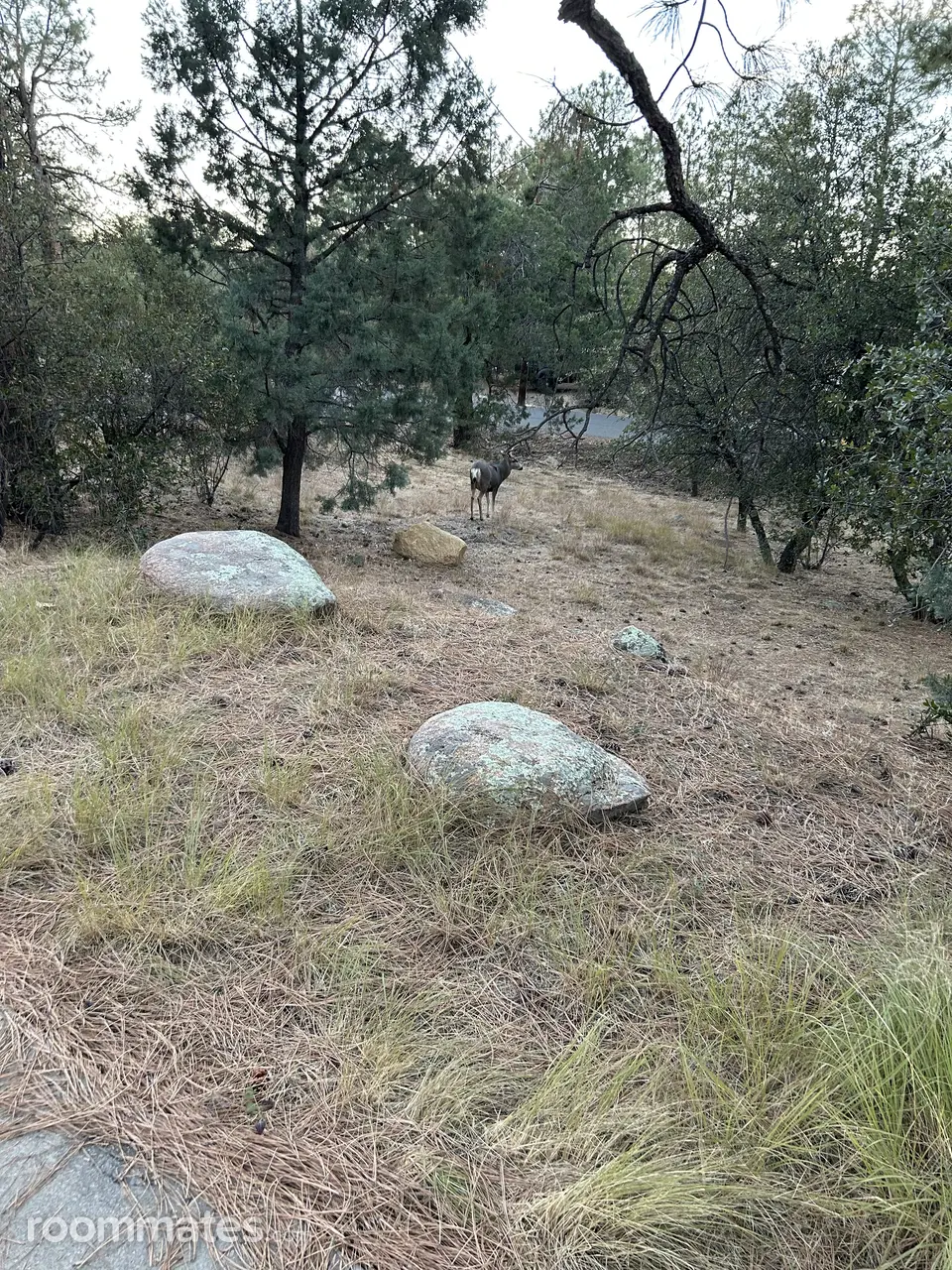 Profile photo 12 of 12