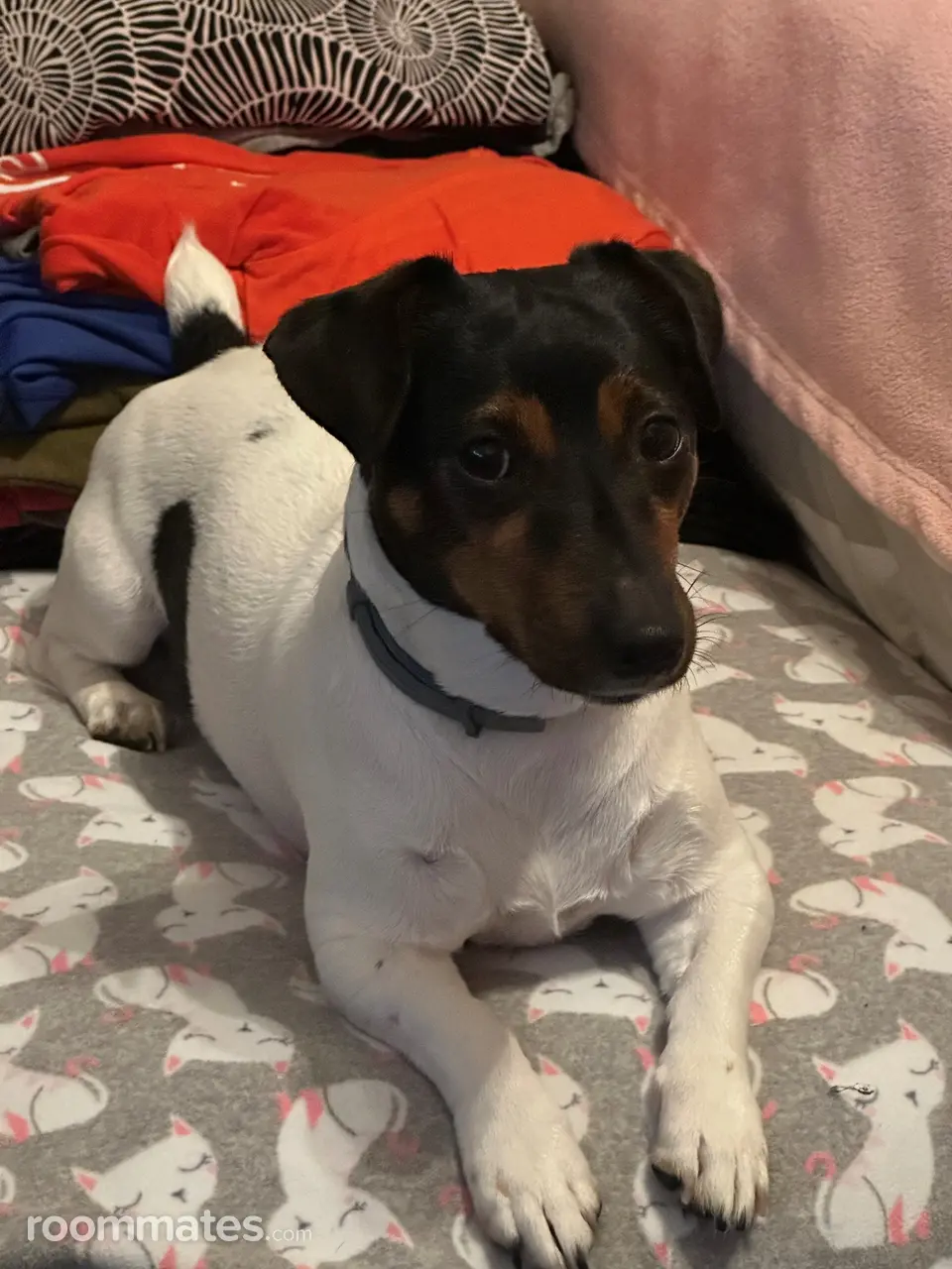 Profile photo 3 of 4