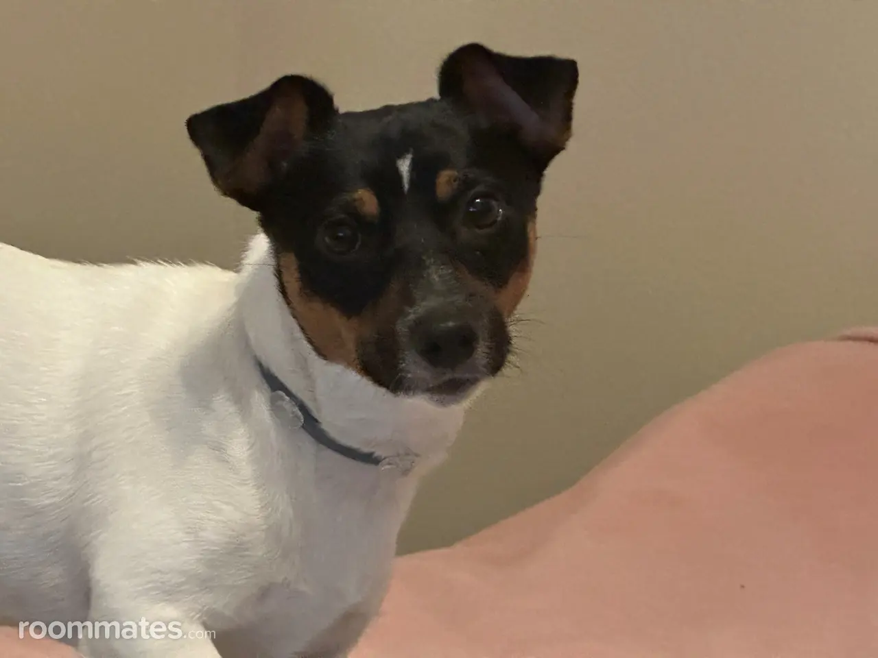 Profile photo 2 of 4