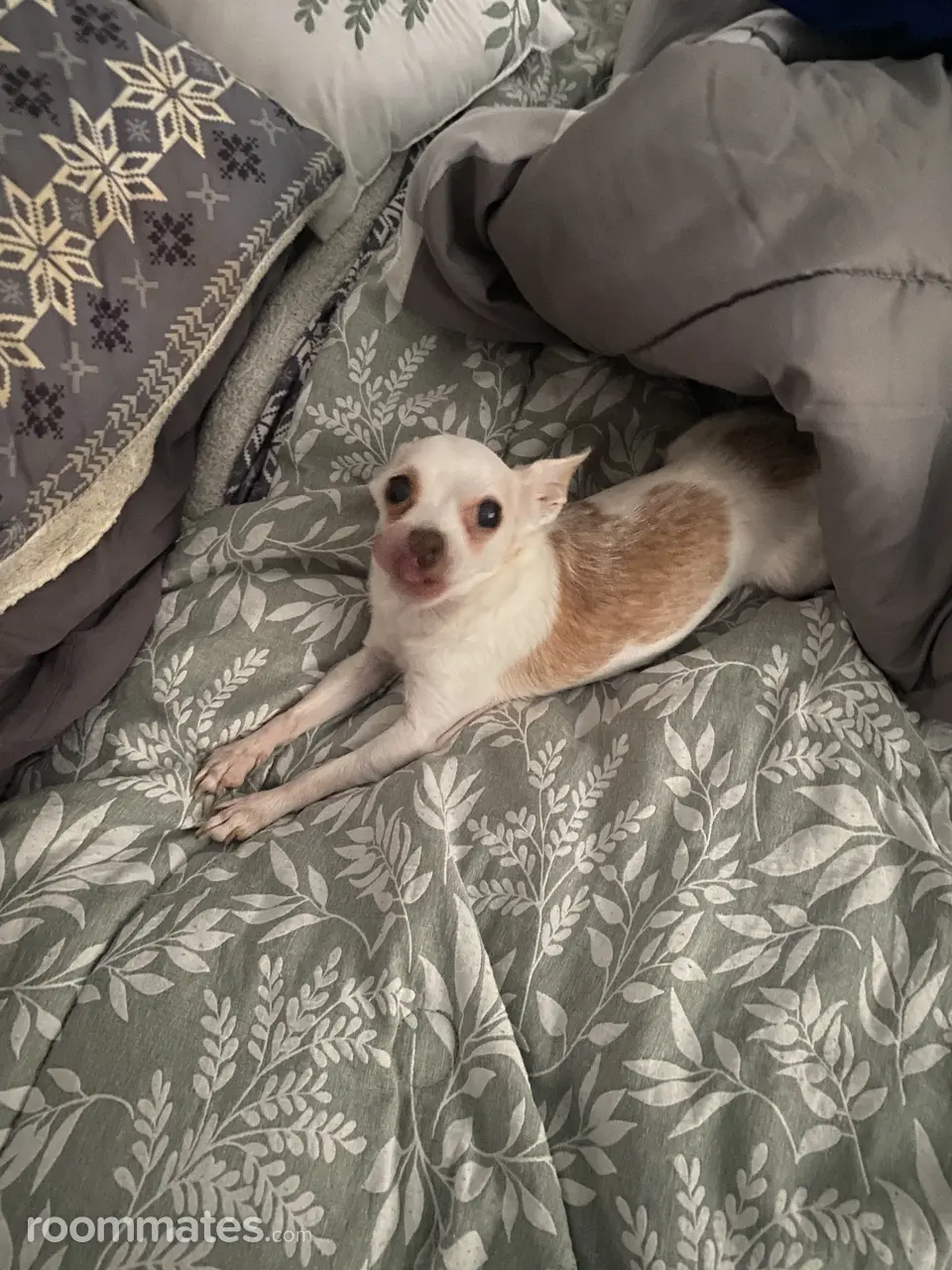 Profile photo 1 of 1