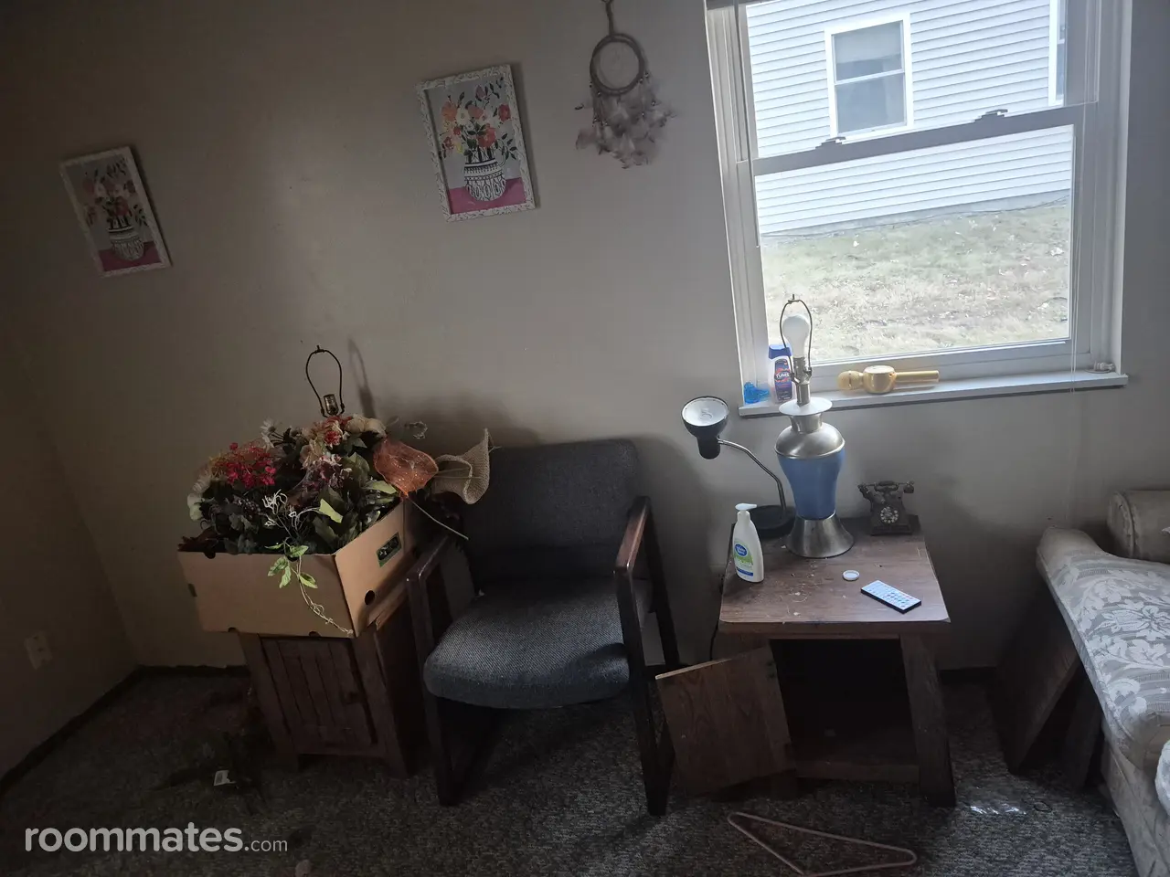 Profile photo 1 of 14