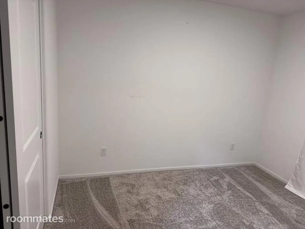 Profile photo 3 of 8