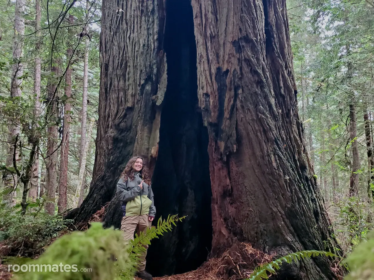 Profile photo 2 of 4