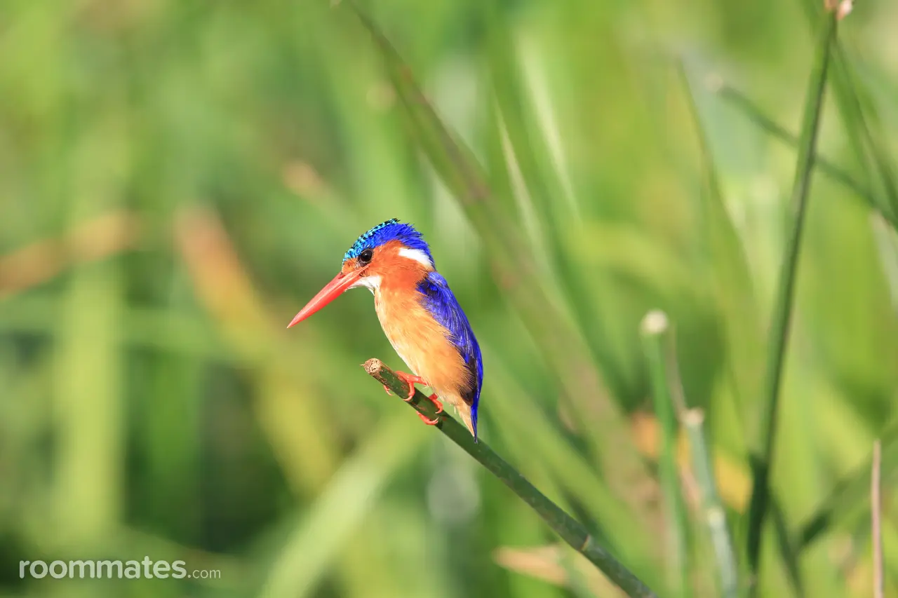 Profile photo 1 of 1