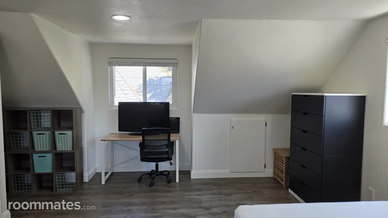 Profile photo 4 of 11