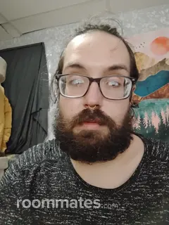 Roommate looking Hamtramck, MI, $1300