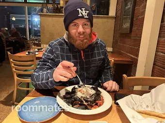 Roommate looking Stow, OH, $800