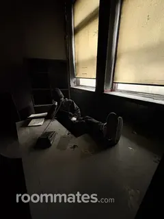 Roommate looking Portland, OR, $1000