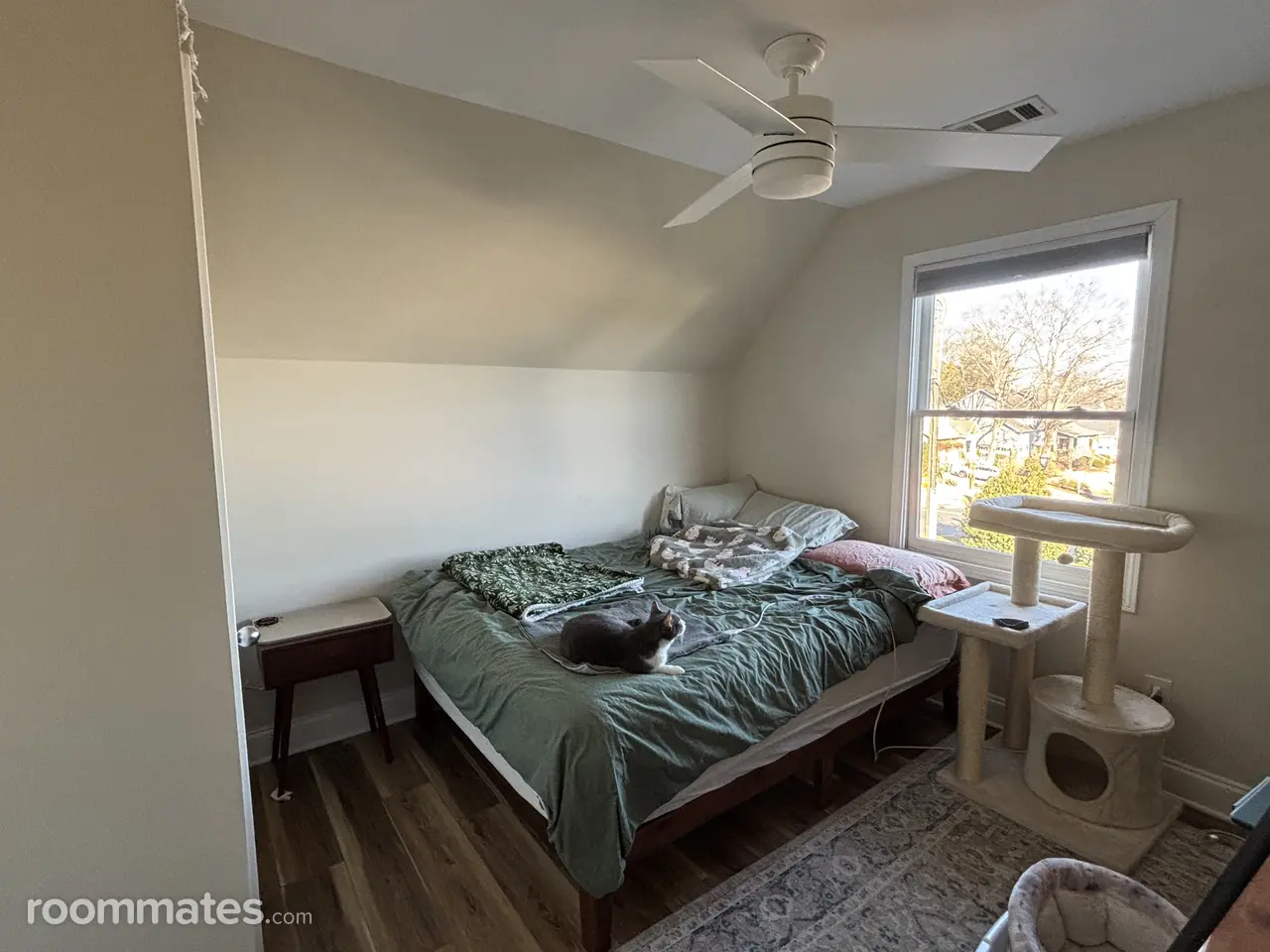 Profile photo 1 of 7