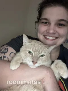 Roommate looking Crystal Lake, IL, $1100