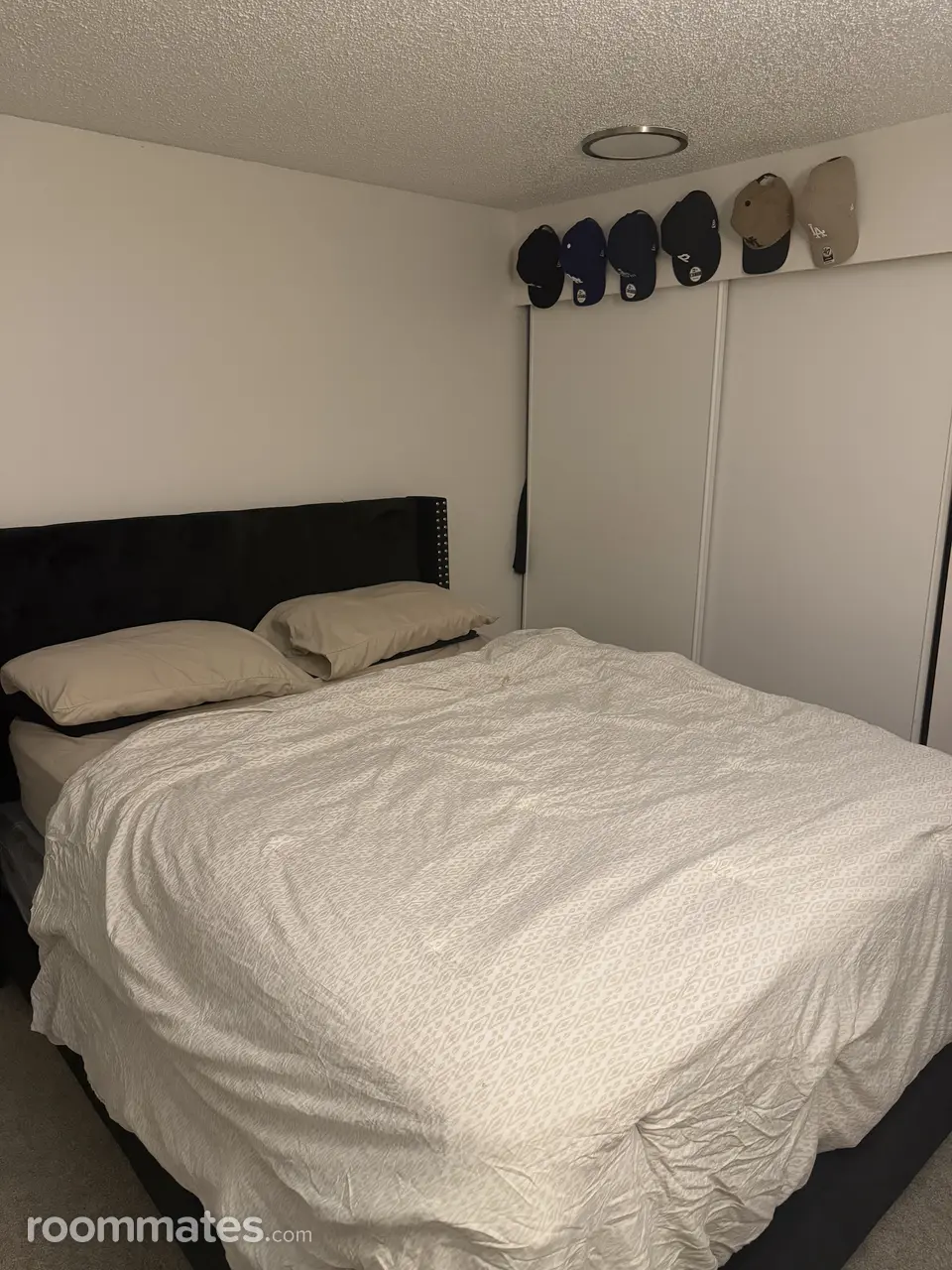 Profile photo 6 of 11