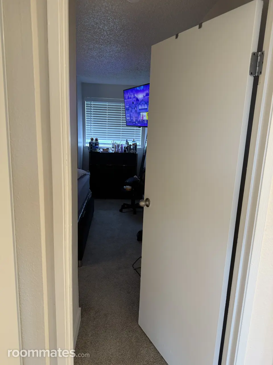 Profile photo 10 of 11