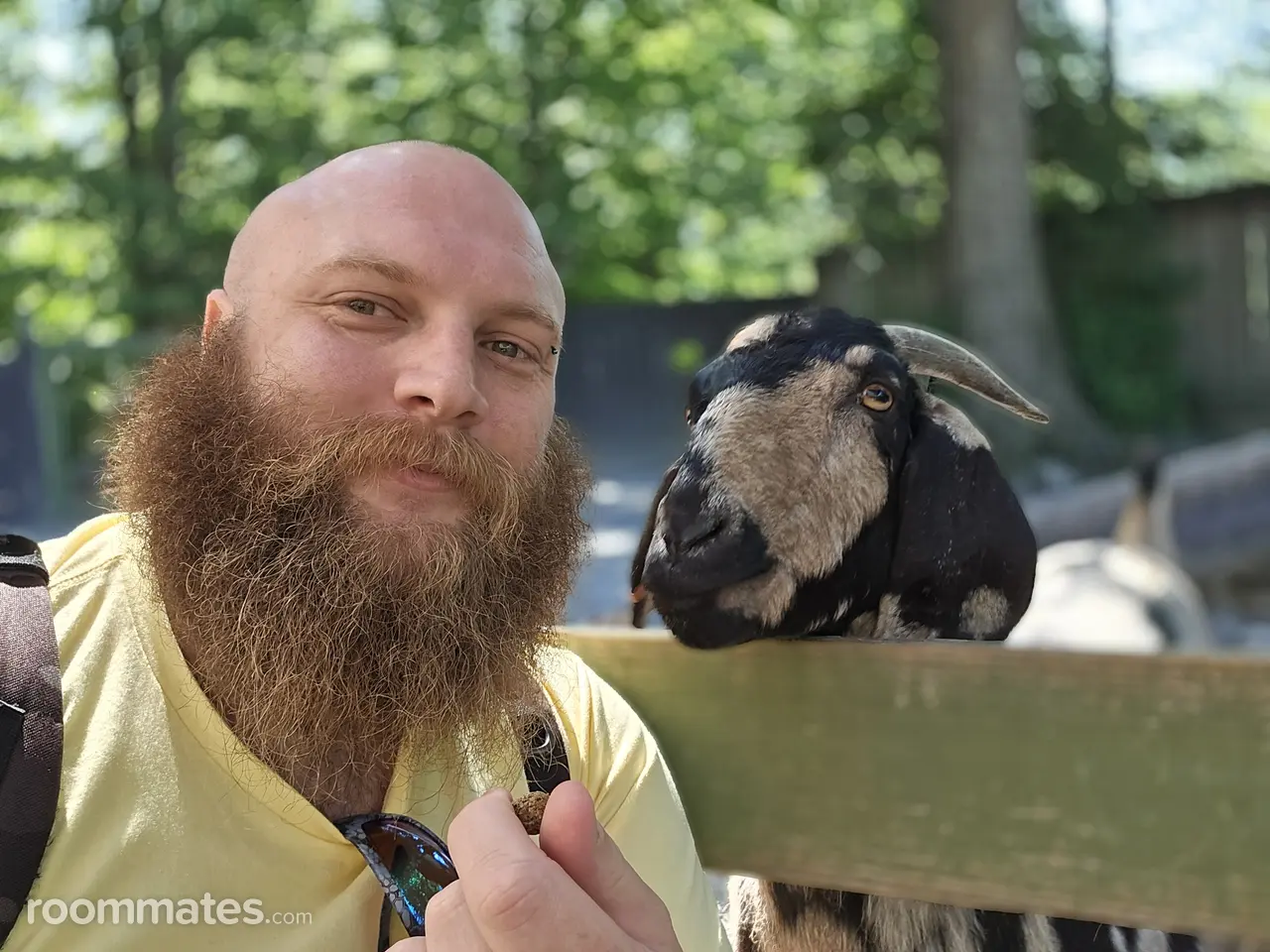 Profile photo 5 of 6