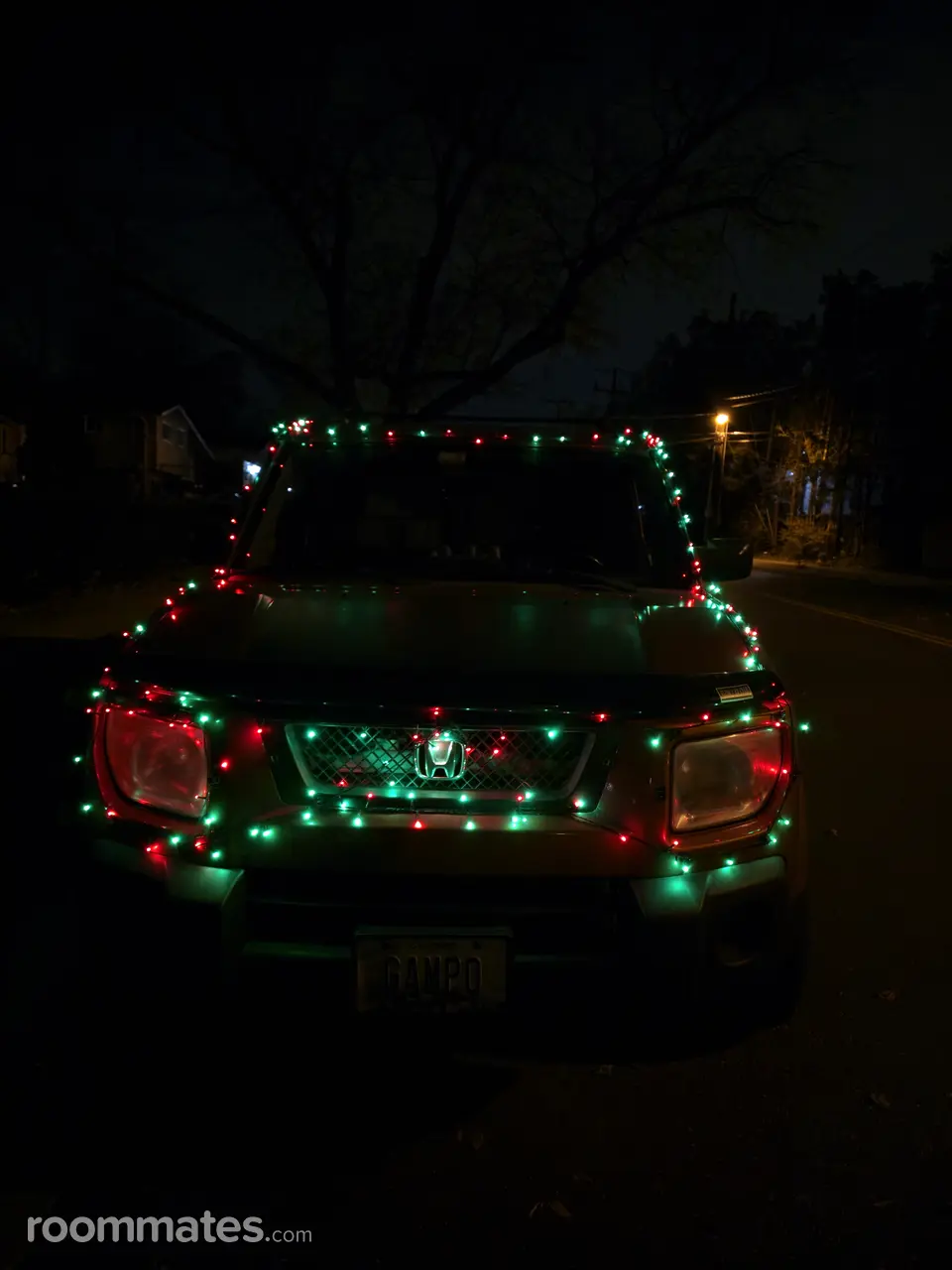 Profile photo 6 of 6