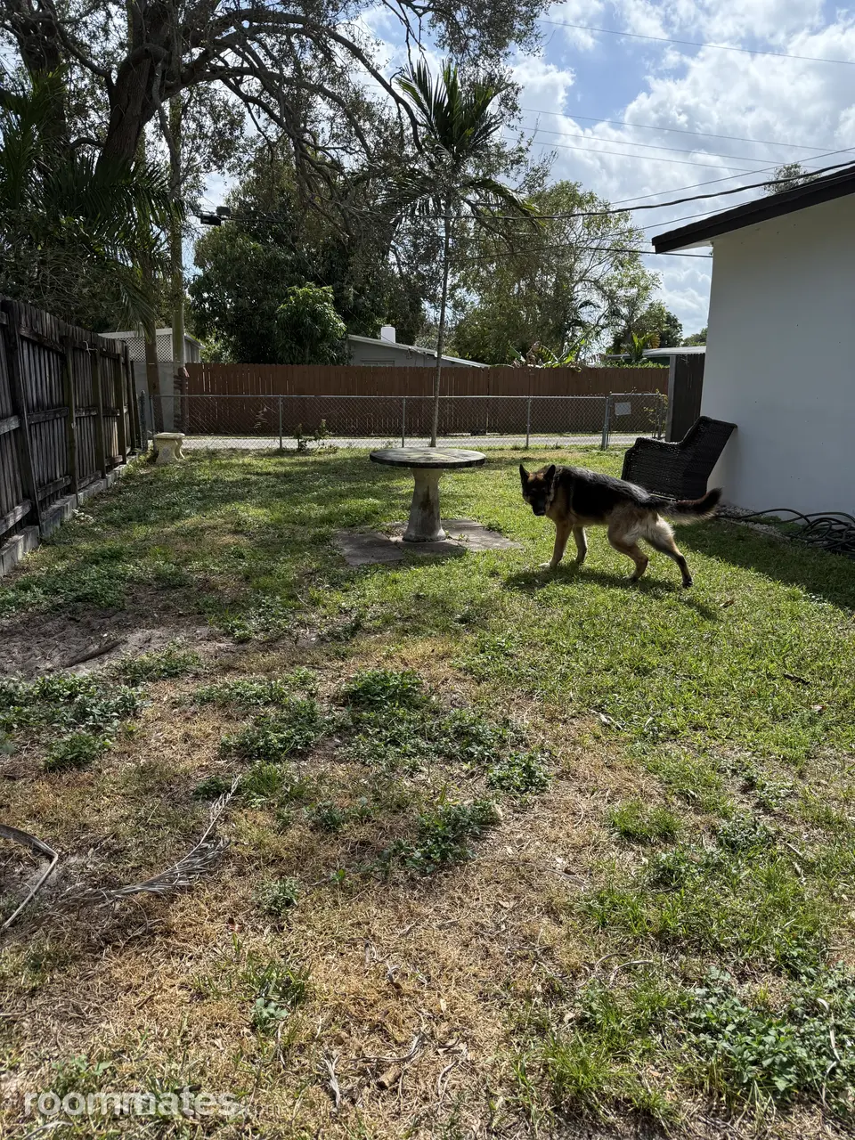 Profile photo 7 of 10