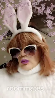 Roommate looking Bethlehem, PA, $700