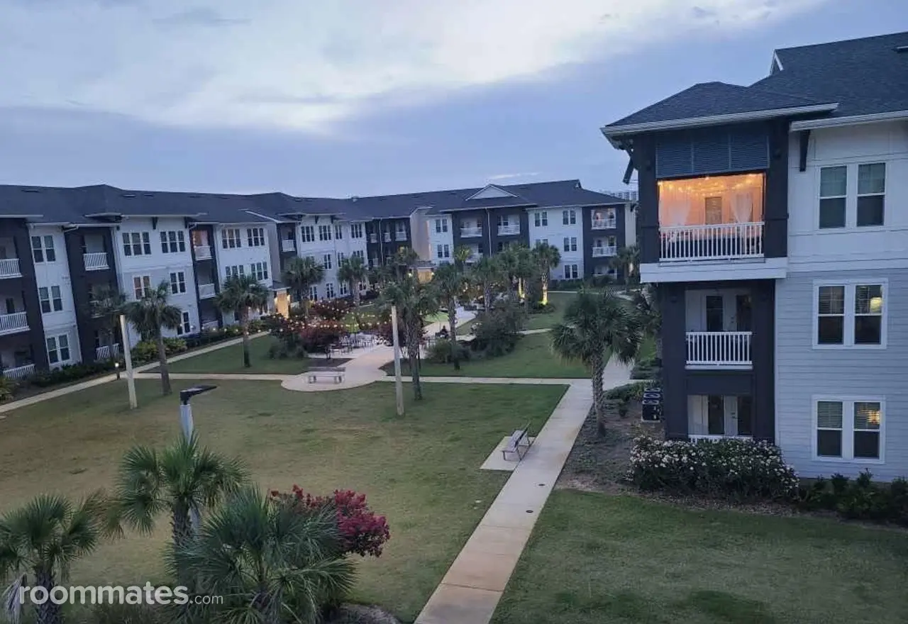 Profile photo 9 of 11