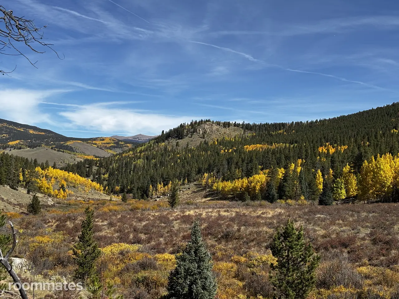 Profile photo 2 of 7