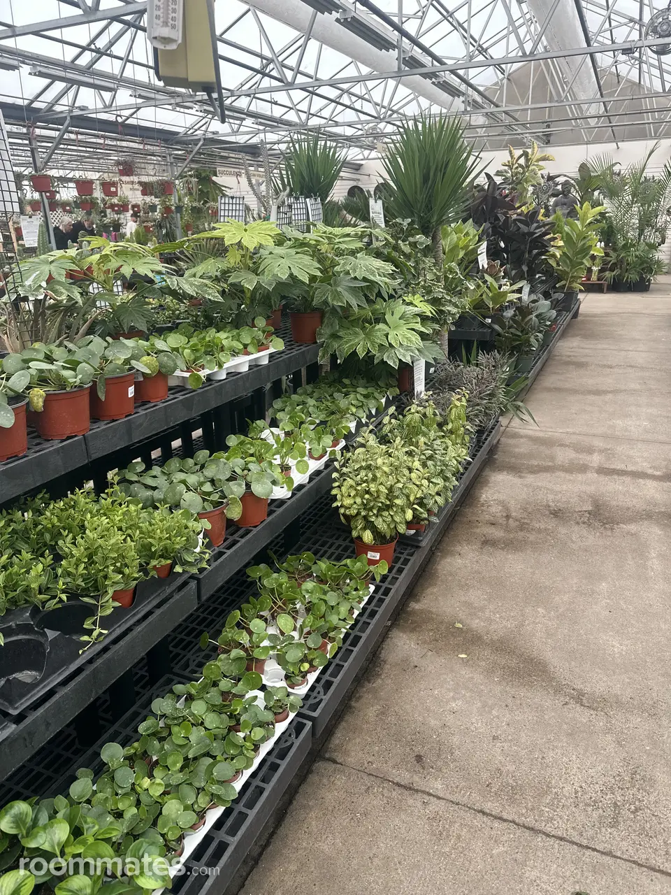 Profile photo 7 of 7