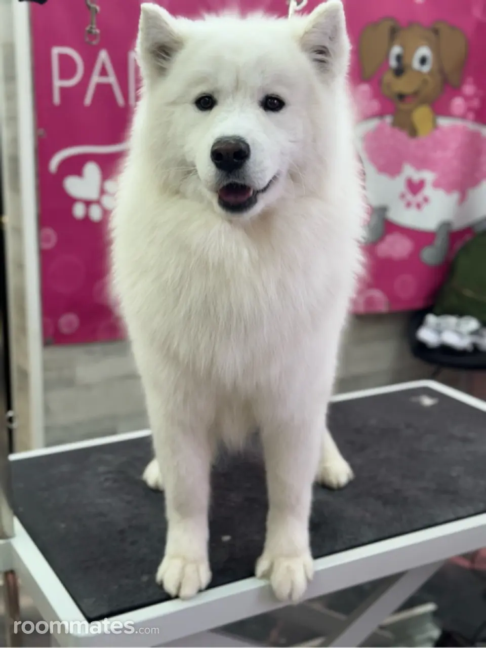 Profile photo 4 of 7