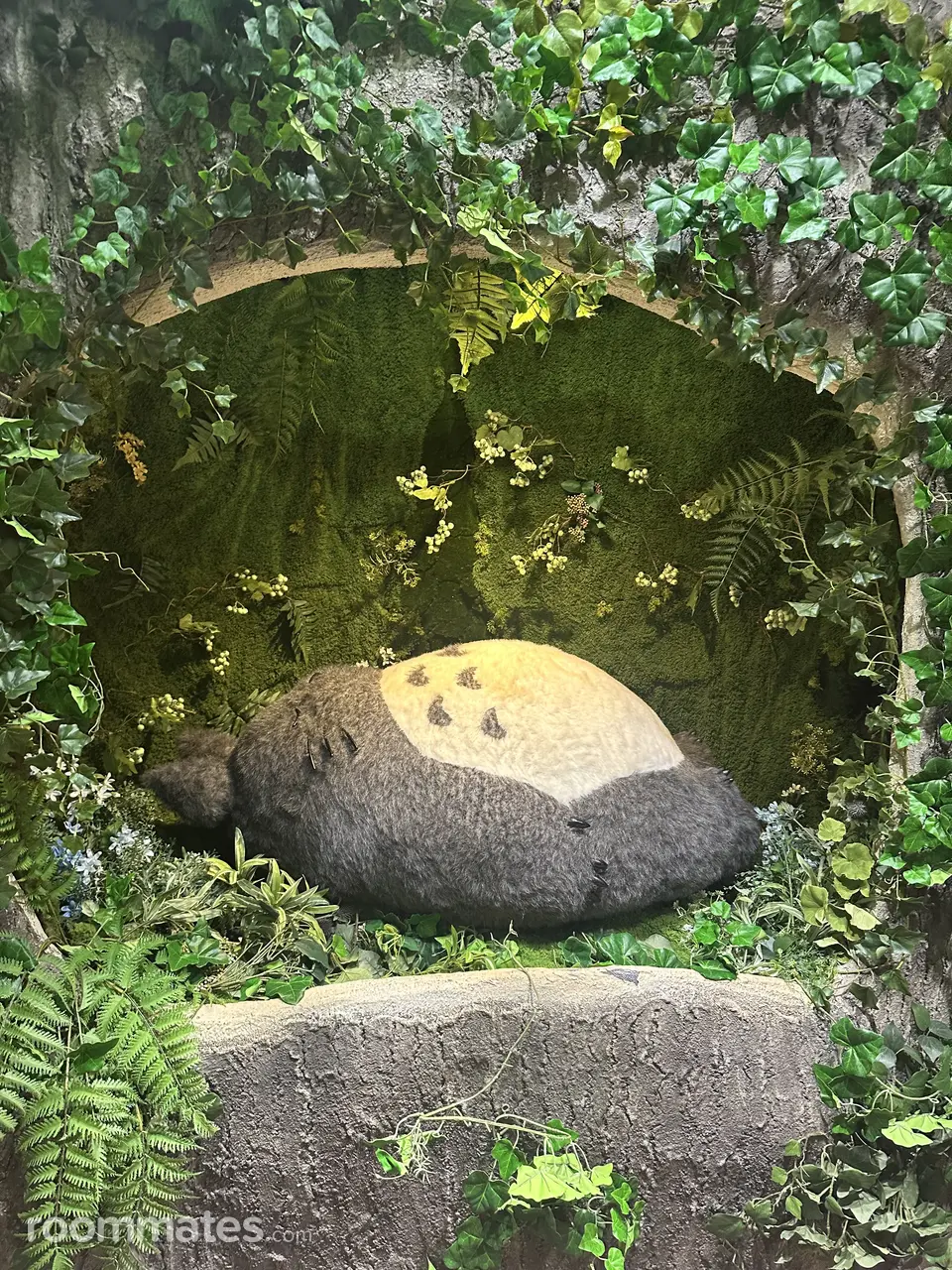 Profile photo 5 of 7