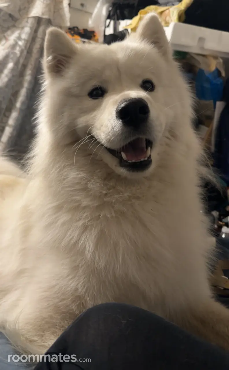 Profile photo 3 of 7