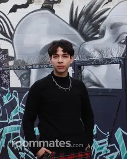 Roommate looking Denver, CO, $1600