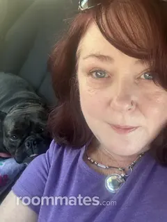 Roommate looking Manchester, NH, $1000